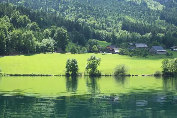 Ein ruhiger Badesee spiegelt die umliegende grüne Landschaft wider, während Bäume sanft im Wasser stehen.