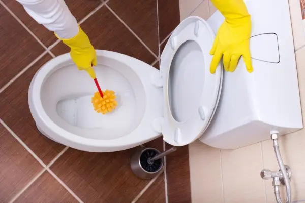 Eine Hand mit einem gelben Gummihandschuh reinigt mit einer Bürste Kalk und Urinstein in einer weißen Toilette.
