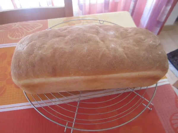 Ein frisch gebackenes Toastbrot ruht auf einem Gitter in einer hellen Küche, umgeben von warmen Farben und Sonnenlicht.