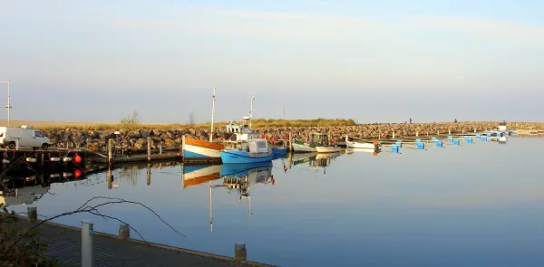Ein ruhiger Hafen mit verschiedenen Booten spiegelt sich im glatten Wasser unter einem weichen, hellen Himmel.