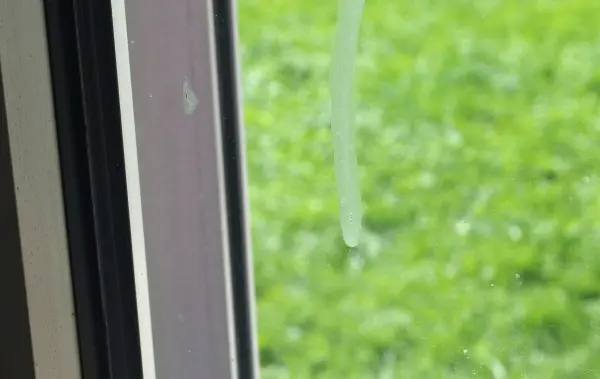 Ein schmutziges Fenster mit Kalkspritzern und Fliegendreck, im Hintergrund ist eine grüne Wiese sichtbar.