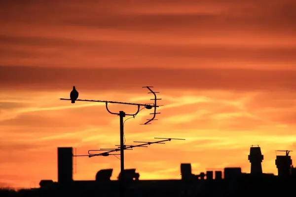 Eine Silhouette einer Antenne steht gegen einen bunten Sonnenuntergang, während ein Vogel darauf sitzt, was den Umstieg auf DVB-T2 HD symbolisiert.