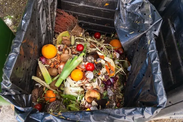 In einer schwarzen Tonne befindet sich ein bunter Mix aus Zitrusfrüchten und anderen Küchenabfällen, die kompostiert werden.
