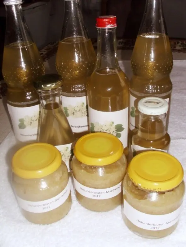 Glasbehälter mit eingelegten Holunderblüten und Zitronen stehen auf einer weißen Unterlage in einer hellen Küche.