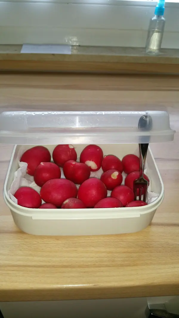 In einem Behälter liegen frische Radieschen, während eine Gabel zum Entnehmen bereitliegt. Ideal zum Frischhalten.