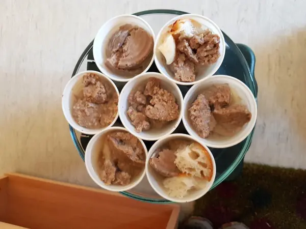 Schalen mit Hundeeis stehen auf einem Tablett. Das Eis ist geschmolzen und verteilt sich in den Bechern, ideal für heiße Tage.