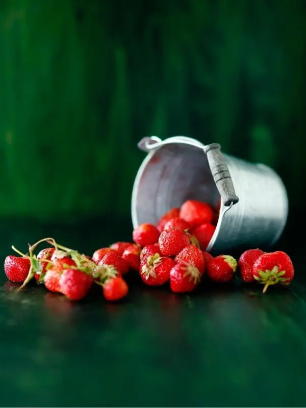 Frische Erdbeeren liegen verstreut um einen umgekippten Eimer, auf einem dunkelgrünen Untergrund.