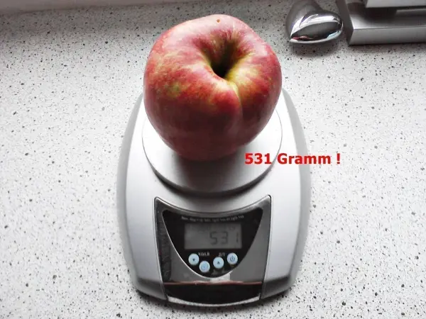 Ein roter Apfel liegt auf einer digitalen Waage, die 531 Gramm misst, auf einer hellen Küchenoberfläche.
