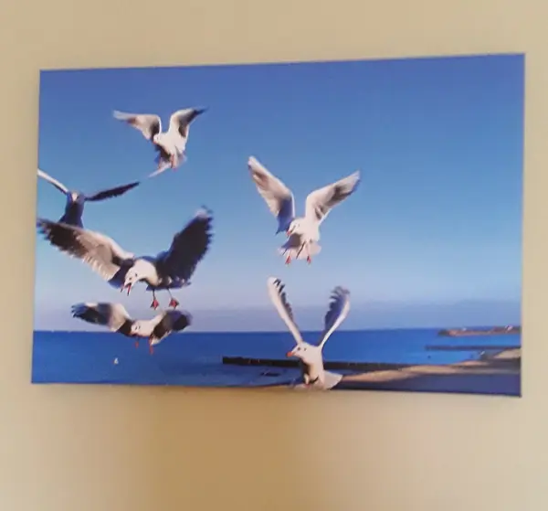 Ein Bild zeigt fliegende Möwen über dem Meer, das eine entspannende Urlaubsatmosphäre für die Wohnzimmerwand schafft.