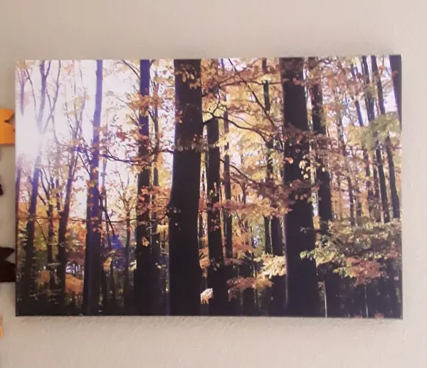 Ein großes Urlaubsfoto zeigt einen herbstlichen Wald mit bunten Blättern, an einer Wohnzimmerwand hängend.