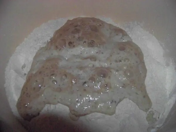 Ein Teig aus Buttermilch mit Nüssen ruht in einer Schüssel, um aufzugehen, umgeben von Mehl.
