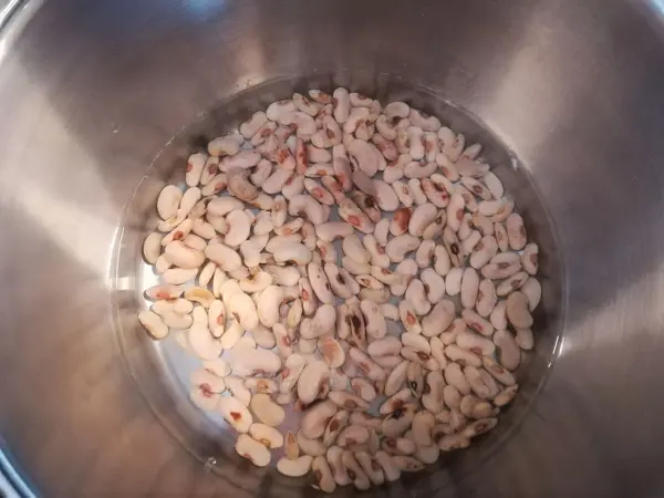 Getrocknete Bohnen liegen in einer silbernen Schüssel, bereit für die Zubereitung eines frischen Bohnensalats.