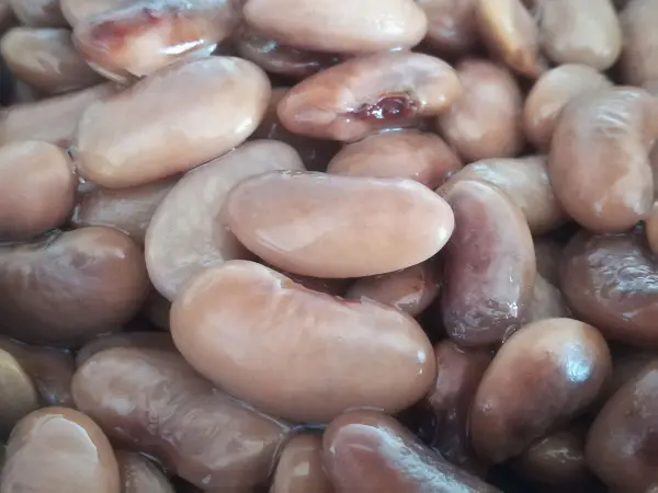 Getrocknete Bohnen liegen übereinander, glänzen und bilden die Basis für einen schmackhaften Bohnensalat.