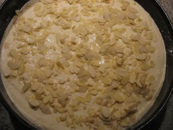 Eine Quark-Sahne-Kirsch-Torte mit Kokosgeschmack liegt in einer runden Form, bedeckt mit Mandelscheiben auf der cremigen Oberfläche.