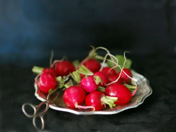 Ein silbernes Tablett präsentiert frische Radieschen mit Wurzeln auf einem dunklen Hintergrund, perfekt für Fotos von Rezepten.