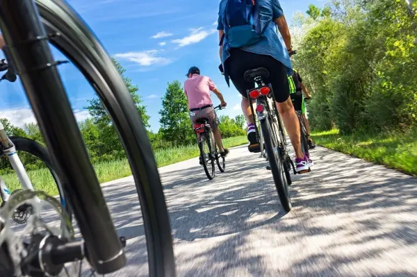 Radfahrer bewegen sich auf einem schmalen Weg durch eine grüne Landschaft bei strahlendem Sonnenschein.