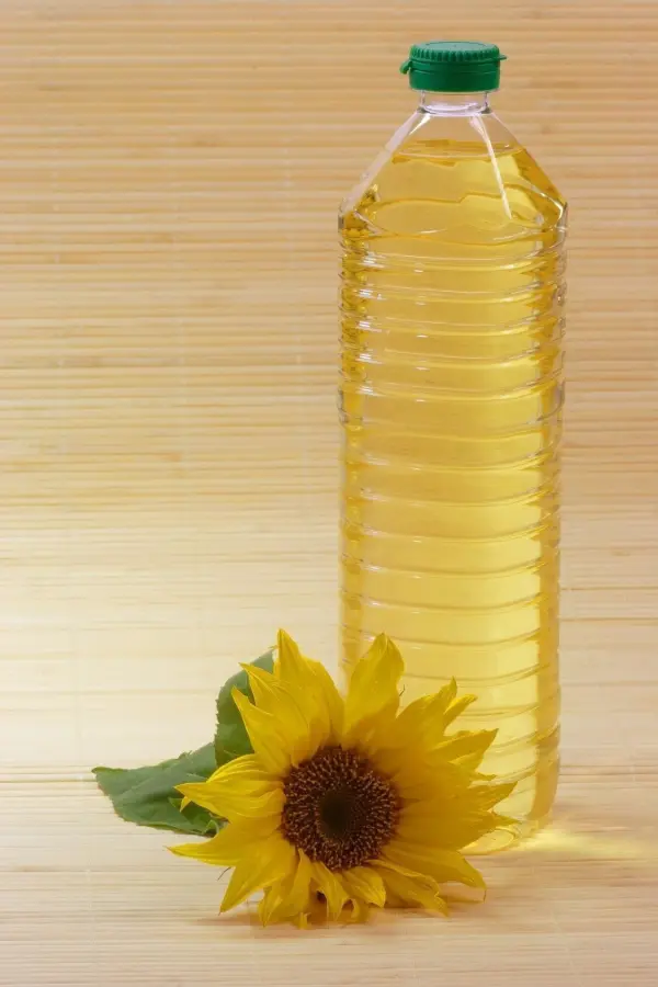 Eine Plastikflasche mit altem Speiseöl steht neben einer Sonnenblume auf einem hellen Hintergrund.