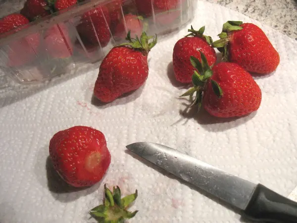 Saftige Erdbeeren liegen auf einem Küchentuch, eine wird mit einem Messer verputzt, während andere im Behälter sind.