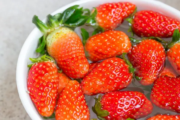 Frische Erdbeeren schwimmen in einer Schüssel mit Wasser und werden gründlich gewaschen, um Schmutz zu entfernen.