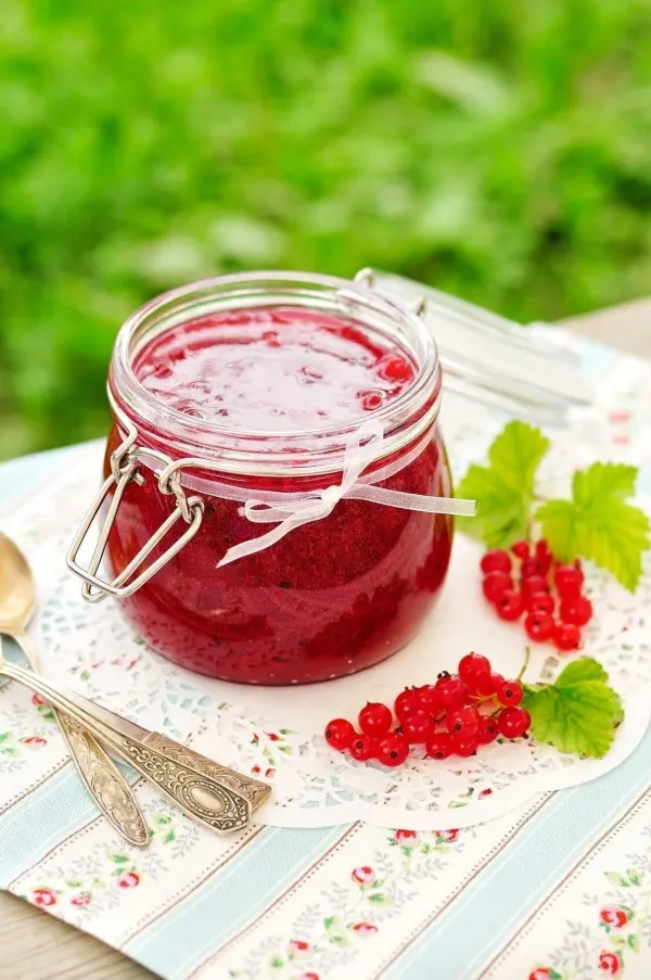 Ein Glas Wassermelonen-Johannisbeer-Gelee steht auf einem hübsch dekorierten Tisch, umgeben von grüner Wiese und roten Johannisbeeren.