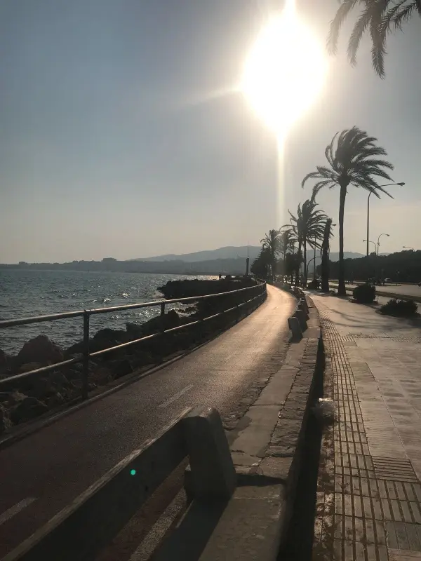 Die sonnendurchflutete Uferpromenade lädt zum Spazierengehen ein, während Palmen sanft im Wind wiegen und das Meer plätschert.