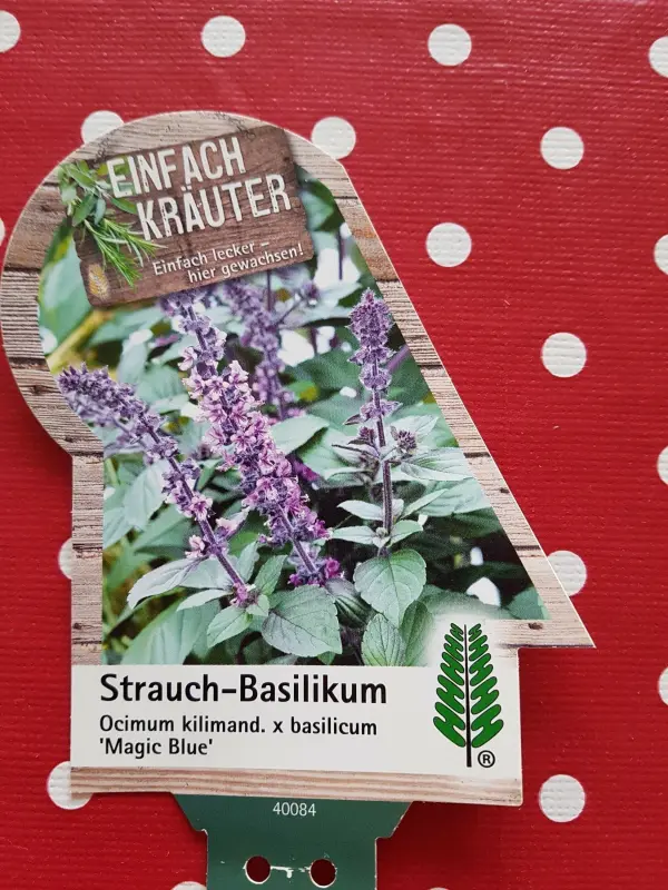 Ein Schild mit der Aufschrift "Strauch-Basilikum" zeigt lila blühende Basilikum-Pflanzen vor einem roten, gepunkteten Hintergrund.