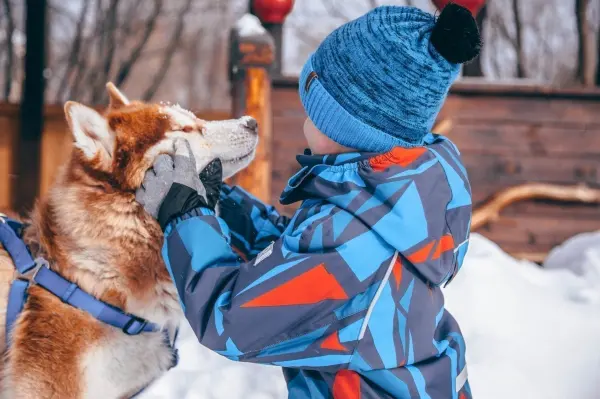 Ein Junge in warmer Winterkleidung streichelt einen Siberian Husky im Schnee, umgeben von einer winterlichen Landschaft.