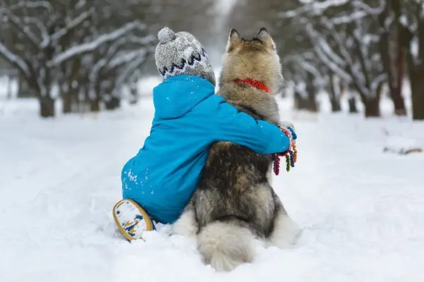 Ein Kind in blauer Winterkleidung umarmt einen Hund im Schnee, umgeben von schneebedeckten Bäumen im Winter.