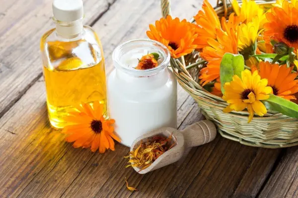 Ein Glas mit Melkfett und Ringelblumen steht neben einer Flasche Öl auf einem Holztisch, umgeben von frischen Ringelblumen.
