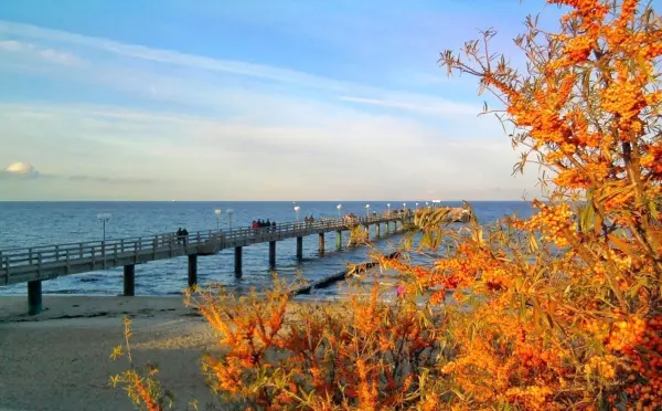 Ein Steg führt über das Wasser, umgeben von orangefarbenem Schilf im Herbstlicht, mit Menschen in der Ferne.