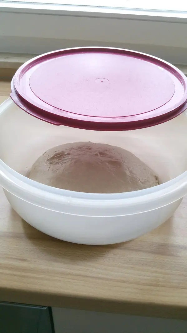 Ein runder Teigball aus Dinkel-Roggenbrot ruht in einer transparenten Schüssel mit einem roten Deckel auf einem Holzbrett.