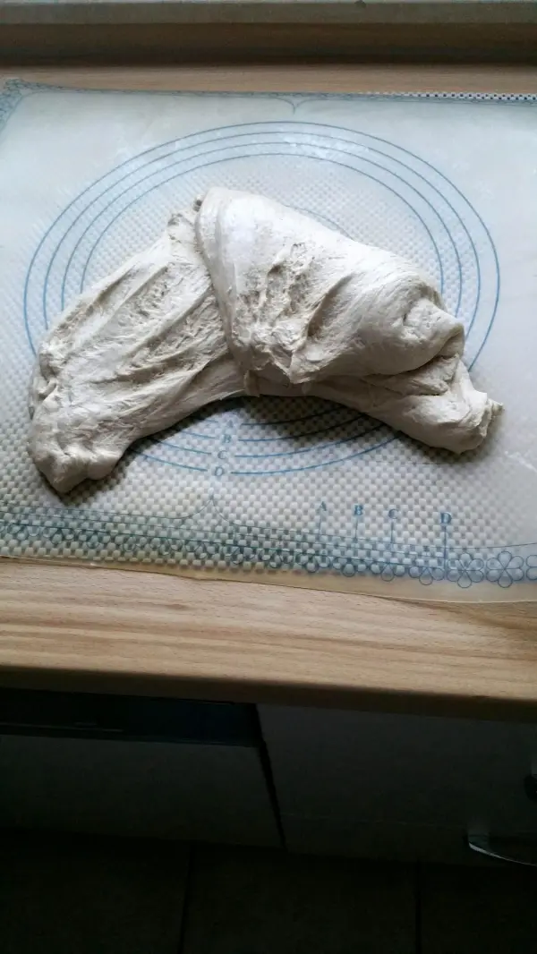 Ein großer, weicher Dinkel-Roggenbrot-Teig liegt auf einer Backunterlage, bereit zum Formen und Weiterverarbeiten.