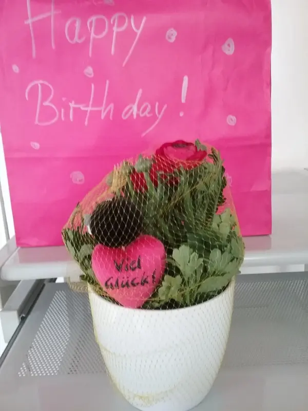 Ein Geburtstagsstrauß mit einer herzförmigen Dekoration im Netz steht vor einem pinken Hintergrund mit "Happy Birthday!".