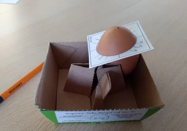 Ein braunes Ei steht in einer Pappschachtel, auf einem Deckel mit Mustern, umgeben von zwei braunen Kartonstücken.