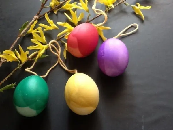Bunte Deko-Ostereier hängen an Fäden neben einem Zweig mit gelben Blüten auf einem dunklen Tisch.