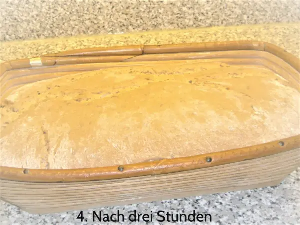 Ein frisch gebackenes Sauerteig-Roggenmischbrot liegt in einem Gärkörbchen nach drei Stunden Ruhezeit.