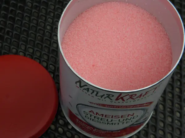 Eine Dose mit rosafarbener Substanz steht offen, bereit, Ameisen im Blumenkübel zu bekämpfen.
