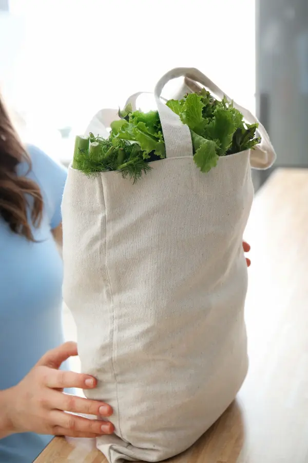 Eine Person hält eine wiederverwendbare Tasche mit frischem Gemüse, um Geld zu sparen und Lebensmittel zu retten.