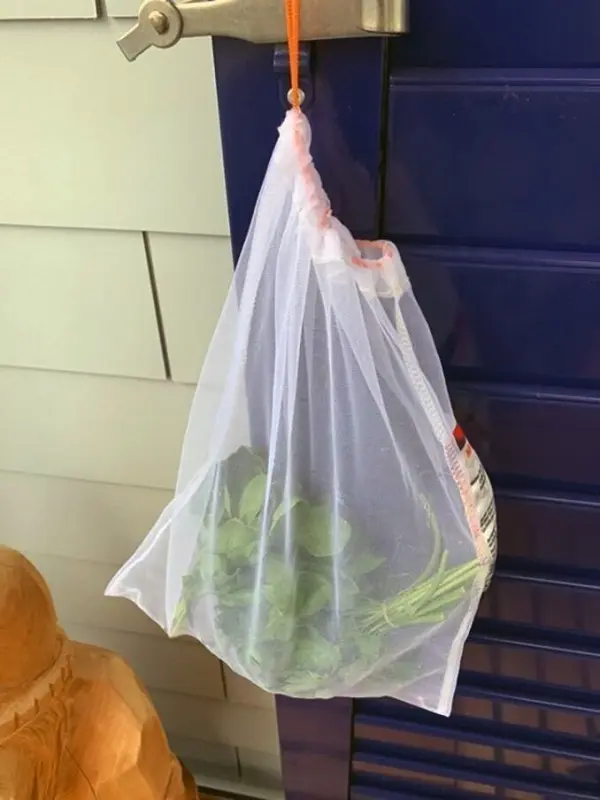 Frische Kräuter hängen in einem durchsichtigen Beutel an einer Tür, um leicht zu antrocknen und ihre Aromen zu bewahren.
