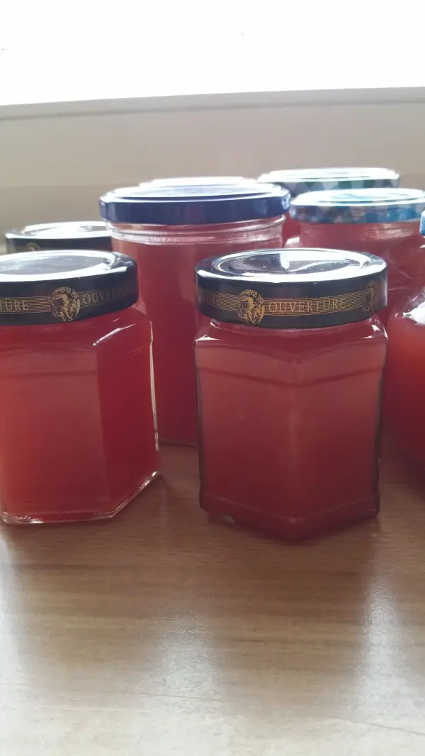 Gläser mit Wassermelonenmarmelade stehen auf einem Tisch, gefüllt mit fruchtiger, roter Marmelade, glänzend im Licht.