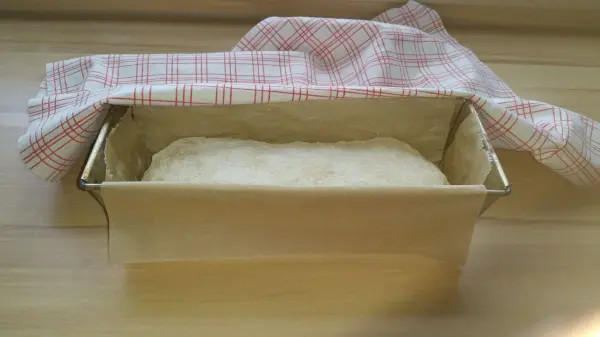 Ein Kastenform mit rohem Toastbrotteig, der unter einem Küchentuch in einer hellen Umgebung ruht und aufgeht.