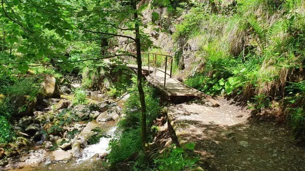 Der Pfad der Ravennaschlucht führt über kleine Holzbrücken, Gestein und weichen Waldboden.