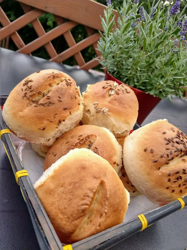 Knusprige Weizenbrötchen liegen in einem Korb auf einem Tisch mit einem grünen Kräutertopf im Hintergrund.