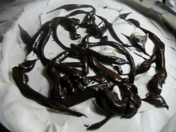 Eine cremige Torte mit weißem Schaum und geschmolzener Schokolade, kunstvoll auf der Oberfläche drapiert.