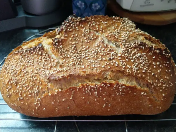 Ein golden-braunes Joghurt-Krüstchen mit Sesam liegt auf einem Kuchengitter und strahlt frisch gebacken.