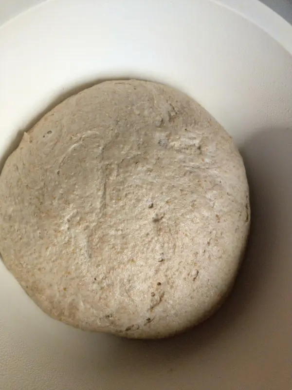 Ein kräftiger, heller Teigball ruht in einer weißen Schüssel, bereit zum Gehen für die Joghurt-Krüstchen mit Sesam.