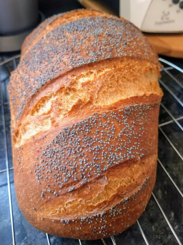 Ein frisch gebackenes Mohn-Dinkel-Brot liegt auf einem Kuchengitter und wartet darauf, serviert zu werden.