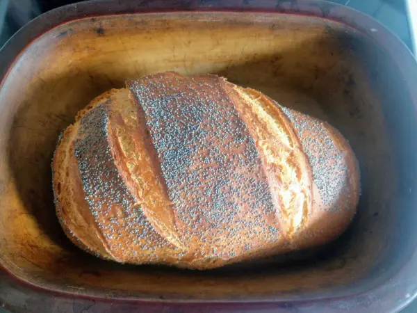 Ein frisch gebackenes Mohn-Dinkel-Brot liegt in einer Holzform, mit goldbrauner Kruste und Mohnsamen obendrauf.
