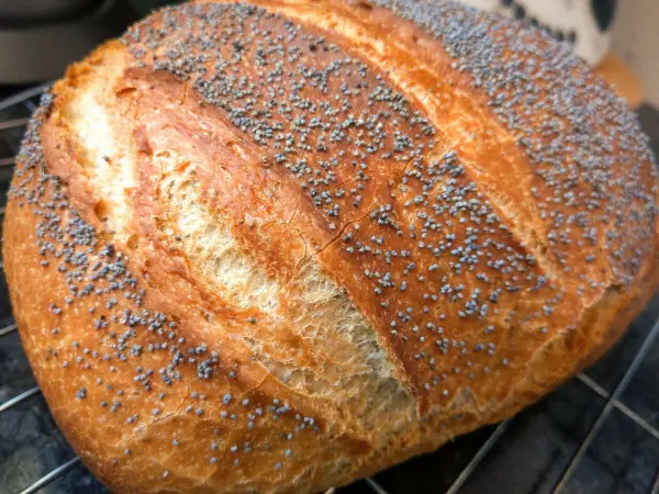 Ein frisch gebackenes Mohn-Dinkel-Brot liegt auf einem Kuchengitter und zeigt eine goldbraune, knusprige Kruste.