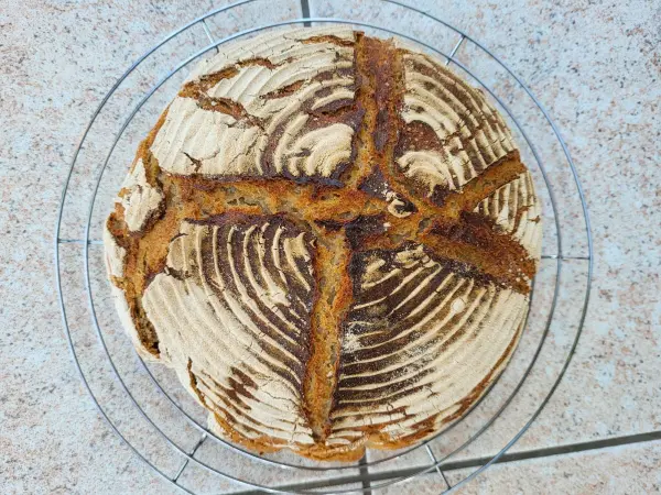 Dinkel-Sauerteigbrot kühlt auf einem Gitter ab, rotbraune Kruste mit Spiralmuster auf beigefarbenem Fliesenboden.
